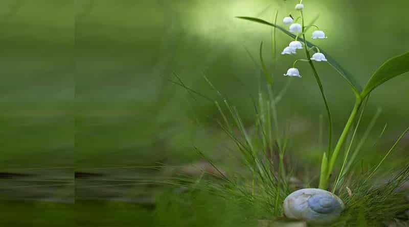 വിശ്വാസമെന്ന ജീവനും അവിശ്വാസമെന്ന മരണവും