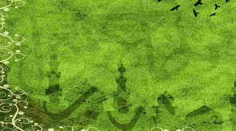 തസ്വവ്വുഫ്: സത്തയും സാരവും