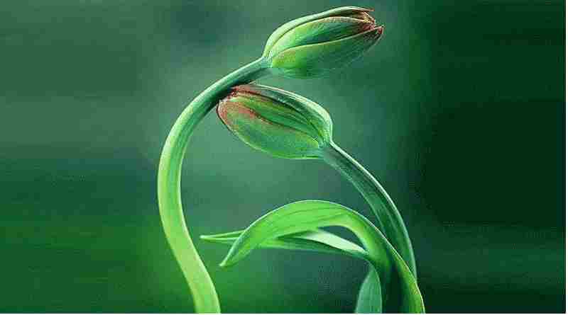 തസ്വവ്വുഫിന്റെ അന്തസത്ത:നീ നഫ്സിനെ ദമനം ചെയ്യുക, ഹഖിന്റെ താത്പര്യത്തിലാവുക