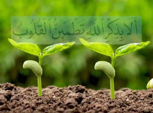 ഹൃദയം ജീവസ്സുറ്റതാക്കുന്ന ചിന്ത