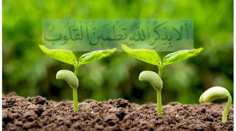 ഹൃദയം ജീവസ്സുറ്റതാക്കുന്ന ചിന്ത