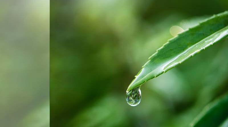 നീ എന്ന അമാനത്തിൽ നിനക്കെന്ത് അധികാരം?