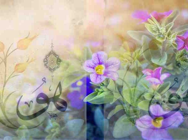 ഉൺമയുടെ ഏകത്വം