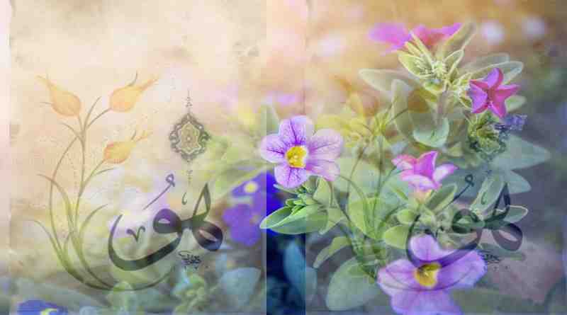 ഉൺമയുടെ ഏകത്വം