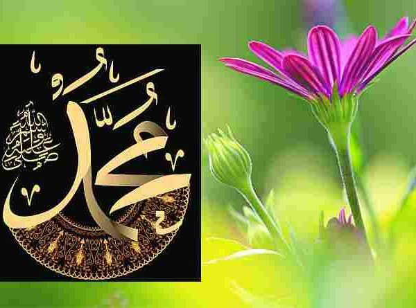 പ്രണയത്തിന്റെ ദർശനം; മുത്ത് നബി(സ്വ)യും സ്വിദ്ധീഖ്(റ)വും ഉമ്മത്തിലേക്കുള്ള അർത്ഥ സഞ്ചാരവും