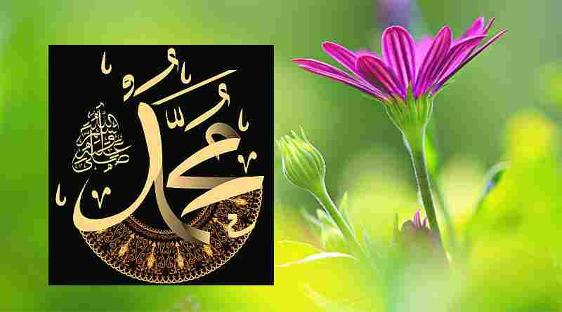 പ്രണയത്തിന്റെ ദർശനം; മുത്ത് നബി(സ്വ)യും സ്വിദ്ധീഖ്(റ)വും ഉമ്മത്തിലേക്കുള്ള അർത്ഥ സഞ്ചാരവും