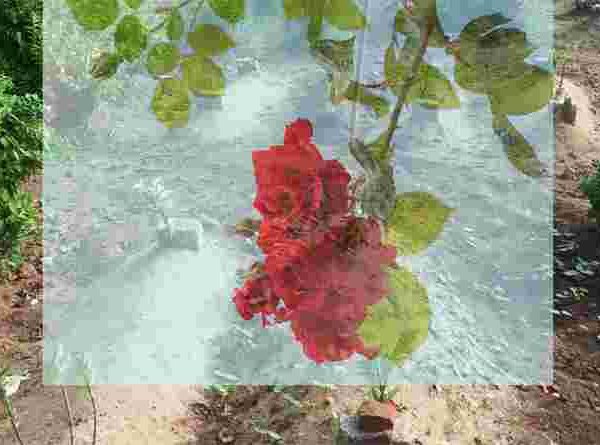 പേരില്ലാത്ത ലോകം