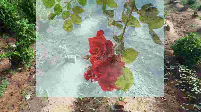 പേരില്ലാത്ത ലോകം