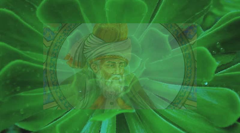 ജലാലുദ്ദീൻ റൂമി(റ)യും മസ്നവിയും മതനവീകരണ വാദത്തിന്റെ അരസികത്വവും