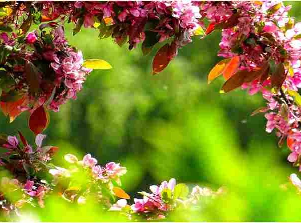 เดเดคเตเดฎเตเดฏ เดเตเดเดพเดจเด:เดฎเดนเดคเตเดตเดตเตเด เดฎเดพเดคเตเดเดฏเตเด