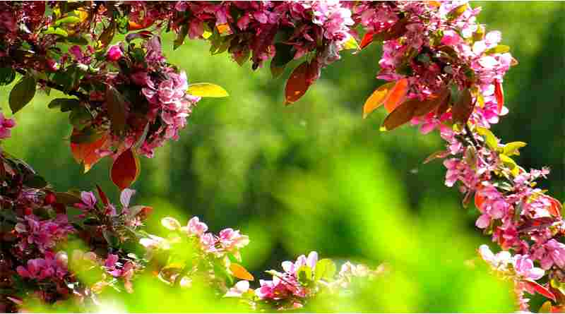 ആത്മീയ ജ്ഞാനം:മഹത്വവും മാതൃകയും