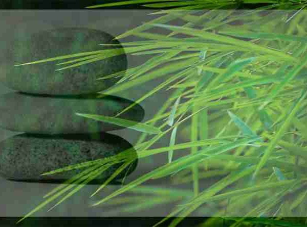 ഏകത്വവും ലാളിത്യവും