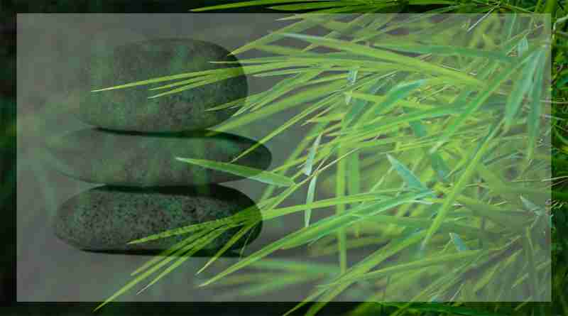 ഏകത്വവും ലാളിത്യവും