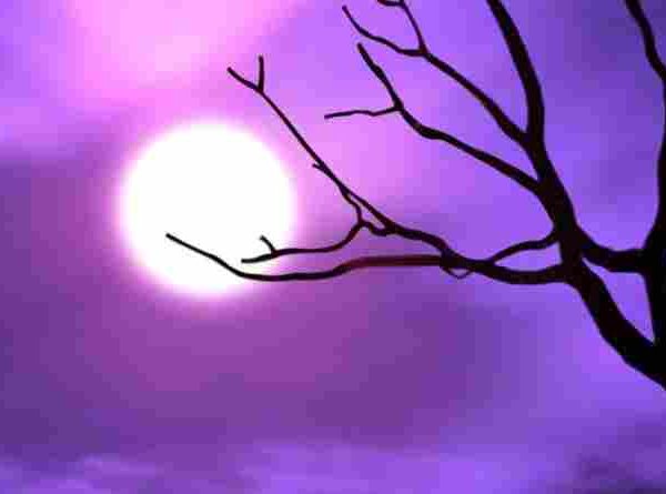 തിരുനബി(സ്വ)യുടെ വിമോചന വഴികൾ അഥവാനീതി പൂക്കുന്ന ലോകം