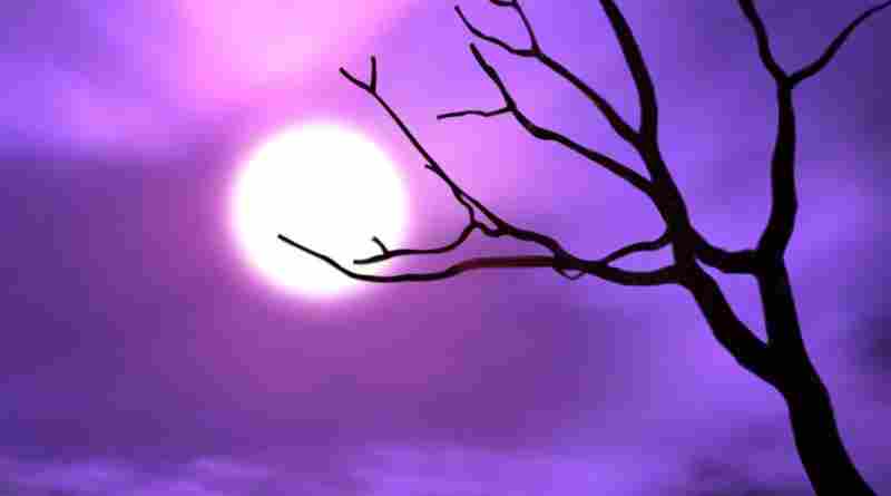 തിരുനബി(സ്വ)യുടെ വിമോചന വഴികൾ അഥവാനീതി പൂക്കുന്ന ലോകം