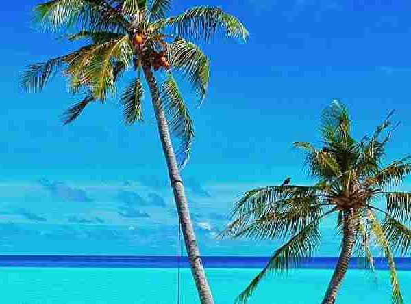 ജനത കുടിയിറക്കപ്പെട്ടാൽകടലെടുത്തുപോയ സ്മരണ മാത്രമായി തീരും ലക്ഷദ്വീപ്