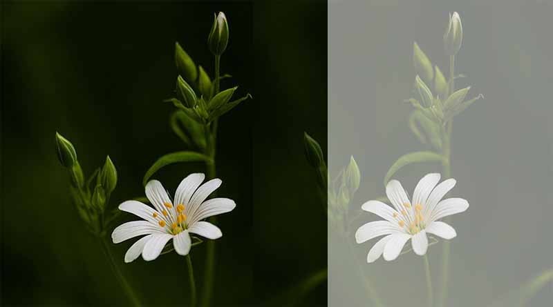 ഗുരുസന്നിധിയിൽ…