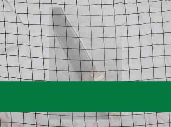 1866 ലെ ചാവക്കാട് പ്രക്ഷോഭം;ബ്രിട്ടീഷ് രാജിനെതിരായ വിമോചന സമരം