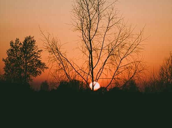 ആന്തരിക ദുർഗുണങ്ങളിൽ നിന്നുള്ള മോചനം